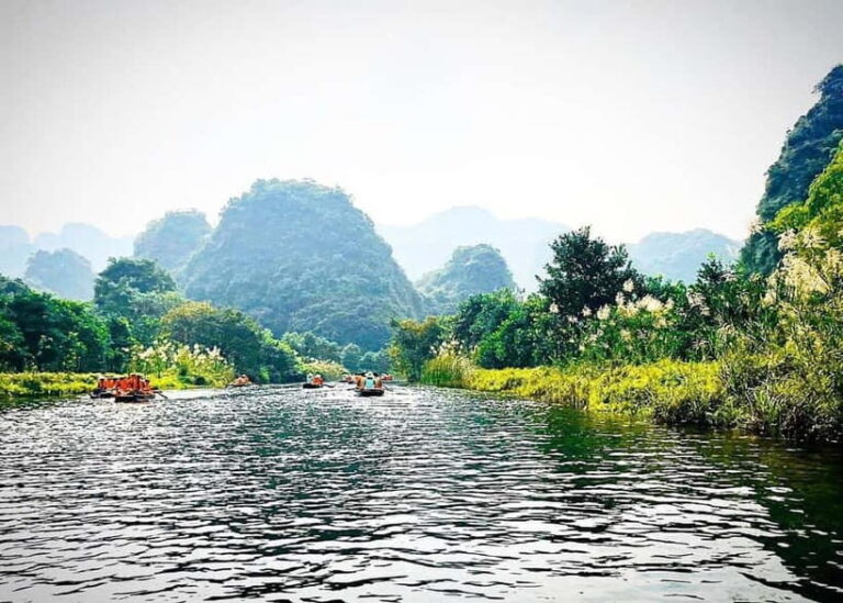 Hanoi: Ninh Binh 1-Day by Limousine - Authentic Experiences and Traveler Feedback
