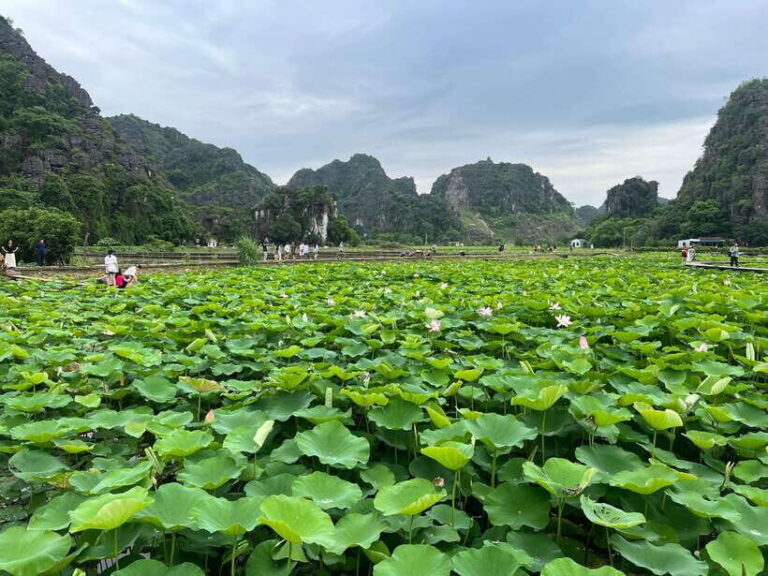 Hanoi Old Quarter City Sightseeing Cycling Tour By Bike - Why It’s a Good Choice