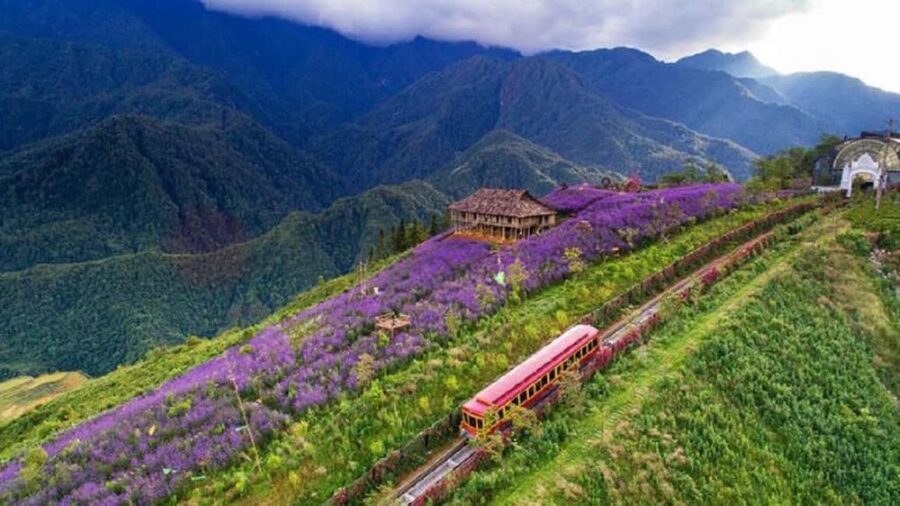 Hanoi: Sapa, Fansipan, and Halong Bay 5-Day Tour - Journey to Sapa by Sleeping Bus