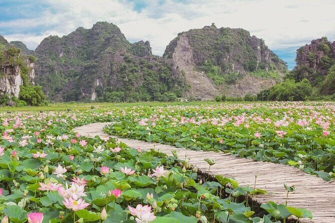Hanoi to Ninh Binh Day Trip: Mua Cave, Trang An Boat Ride - Lunch - Transportation and Group Size