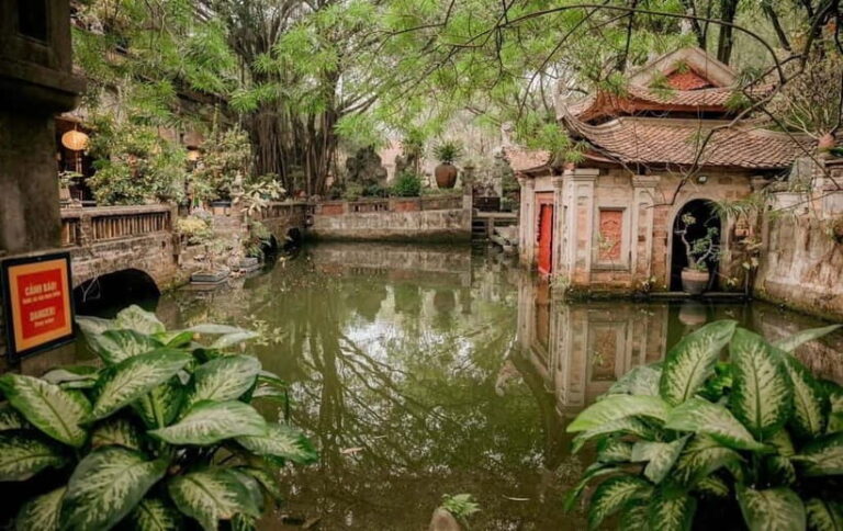 Hanoi: Viet Phu Thanh Chuong Guided Tour with Lunch & Pickup - What to Expect on the Tour