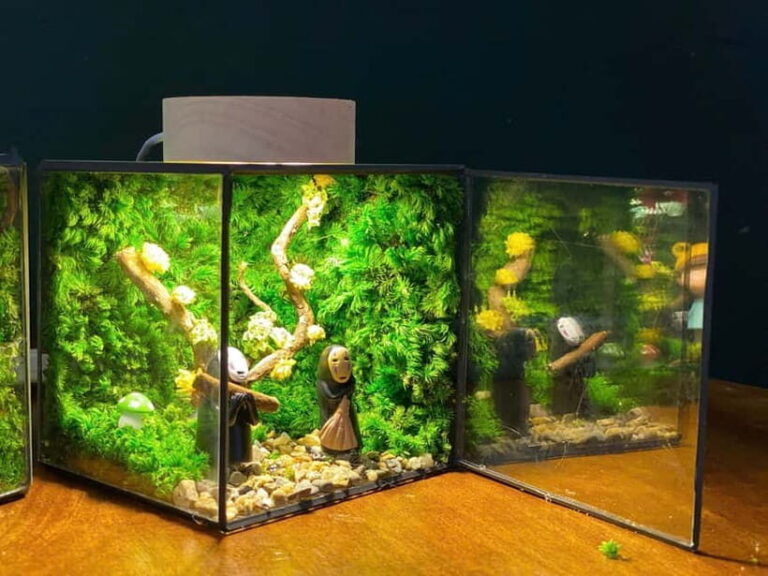 Hanoi: Vietnam National Museum & Terrarium Workshop - Practical Details and Value