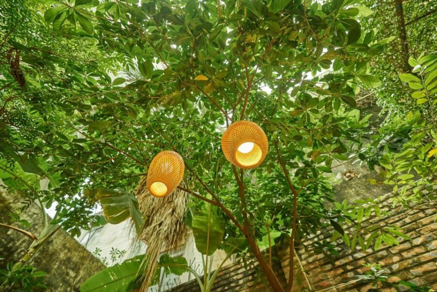 Hanois Culinary: Authentic Cooking Class and Local Market - Who Would Enjoy This Tour?