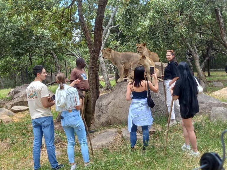 Harare: Half Day Outdoor Adventure - Transportation and Guide Service