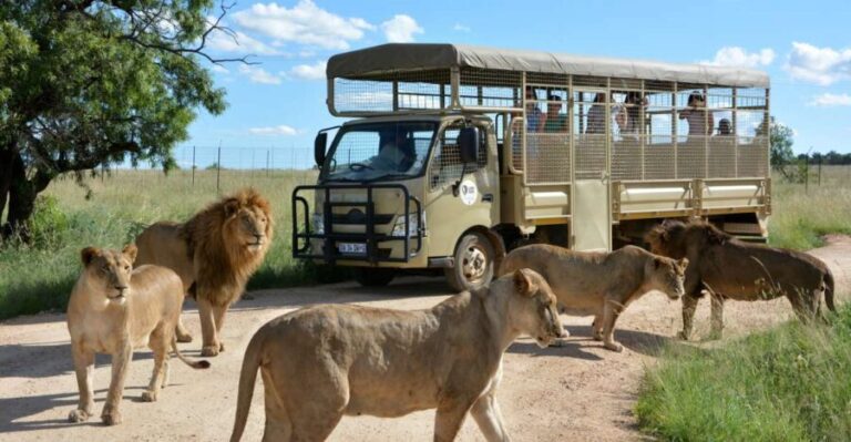Hartbeespoort: Predator Safari with a Guide - Who Will Love This Tour?