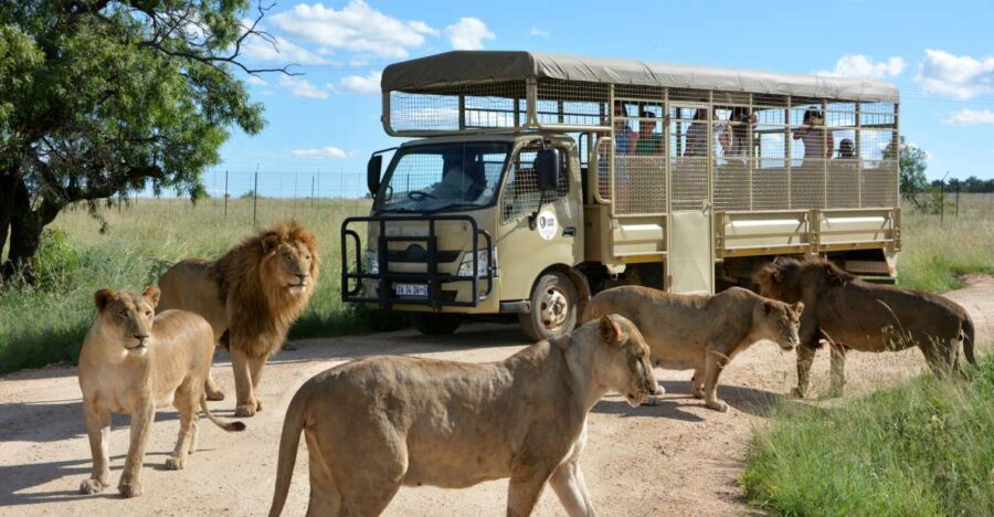 Hartbeespoort: Predator Safari with a Guide