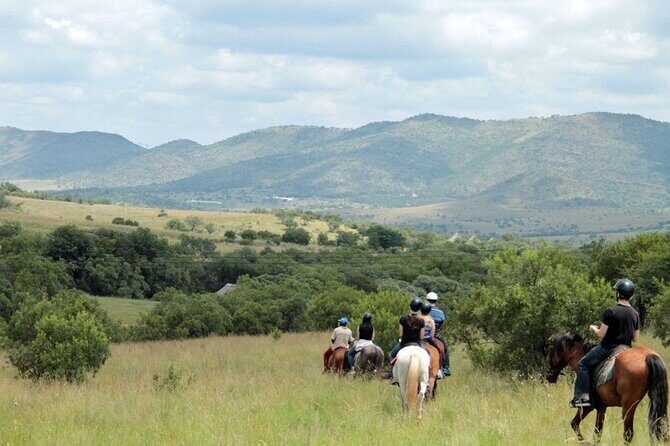 Harties Horse Trail Safari Half day - Practical Details and Tips