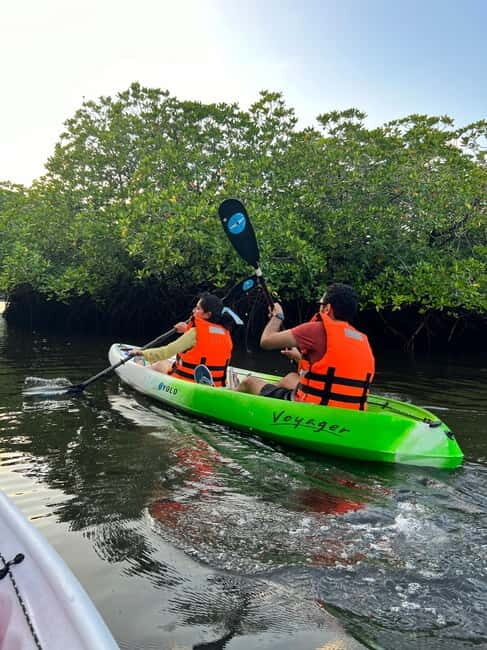 Havelock: Bioluminescence and Mangrove Kayaking Tour - Practical Tips for Your Kayaking Adventure