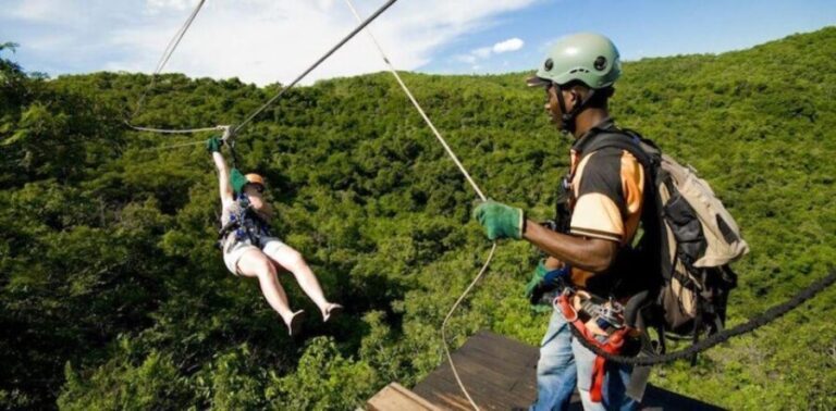 Hazyview: 2.5-Hour Sabie River Zip Line Experience - The Scenery and Wildlife