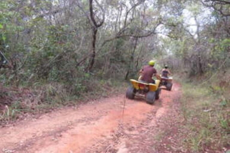 Hazyview : 30 minutes Quad Ride - Why This Experience Works for Travelers