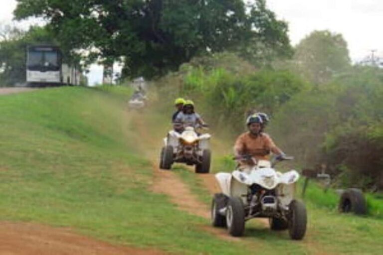 Hazyview: Guided Macadamia Plantation and Forest Quad Safari - What Makes This Quad Safari Special?