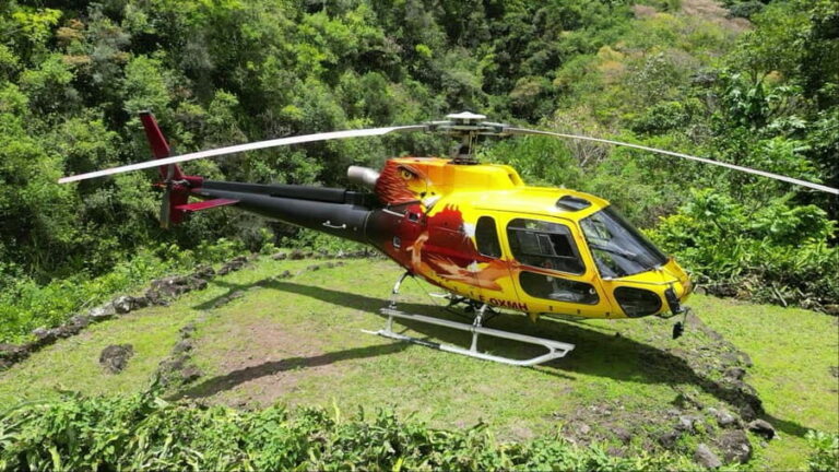 Helicopter flight over the waterfalls and basins of Reunion Island with lunch - The Return Flight and Final Views