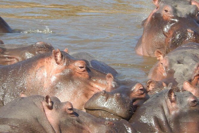 Hells Gate Cycling park & Lake Naivasha Boat tour - What’s Included and What’s Not