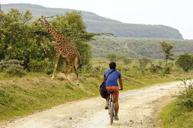 Hell's Gate & Lake Naivasha Small Group Day Tour - Guaranteed Daily Departure - Practical Details and Value