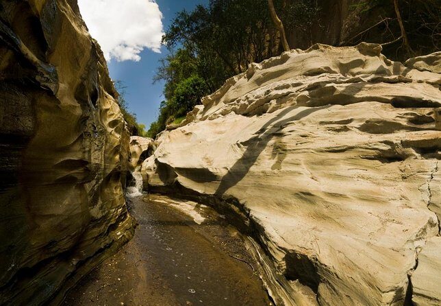 Hell's Gate National Park and Lake Naivasha Private Tour - Why the Tour Offers Great Value
