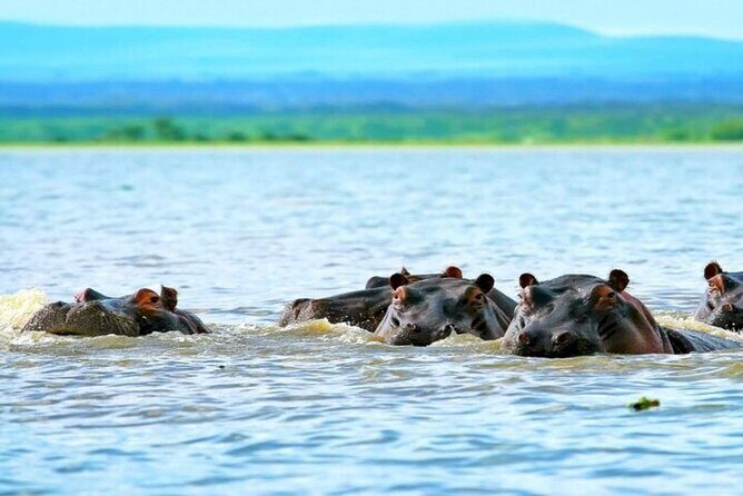 Hell's Gate Park and Lake Naivasha Day Tour - What’s Included and What’s Not