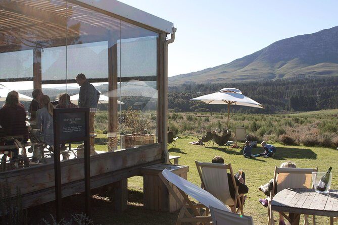 Hemel-en-Aarde Wine Tour - An In-Depth Look at the Hemel-en-Aarde Wine Tour