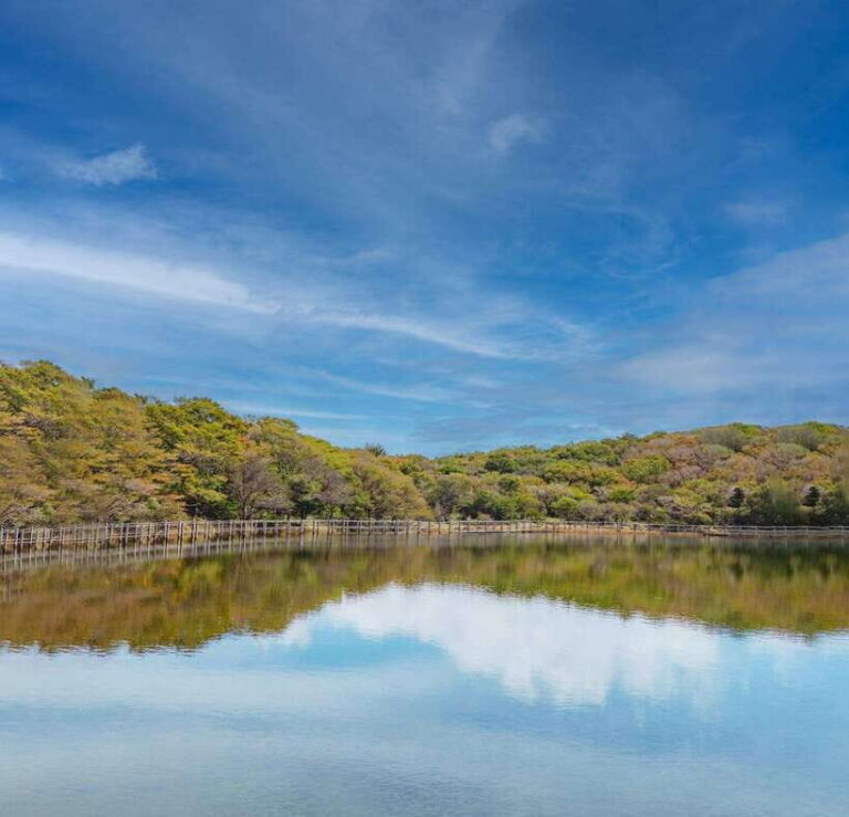 Herb Island : Sanjung Lake : Strawberry : Bidulginang Tour - Whats Included and Whats Not