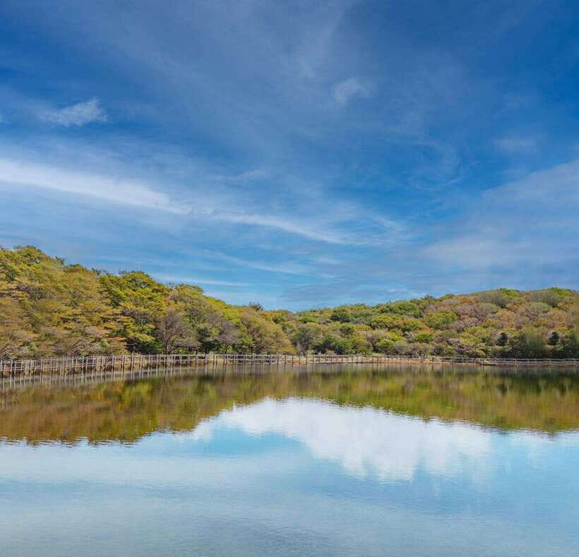 Herb Island : Sanjung Lake : Strawberry : Bidulginang Tour - Whats Included and Whats Not