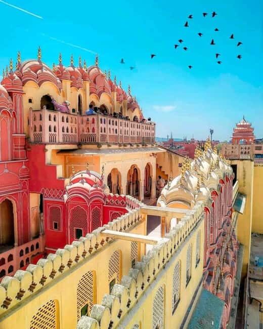 Heritage Meet Wildlife: Golden Triangle and Ranthambore Tour - What’s the Experience Like?