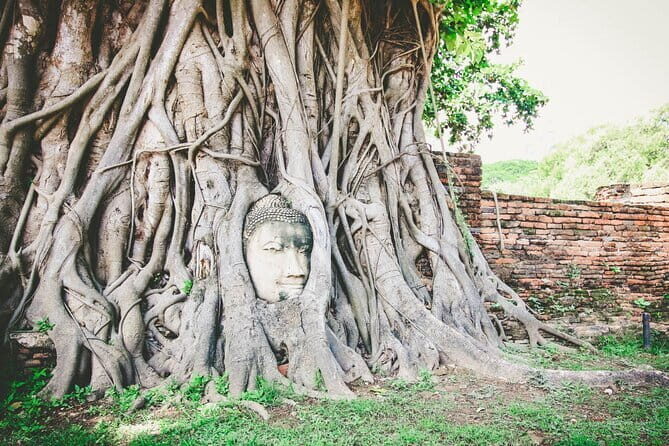 Heritage Tour in Ayutthaya by Cruise - Authentic Experiences and Traveler Feedback