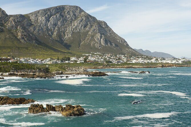 Hermanus Land based Whale Tour with Dave de Beer - Practical Details and Planning