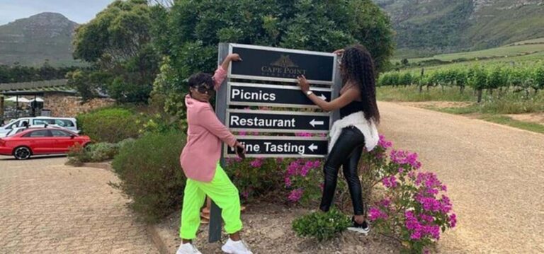 Hermanus Whale Watching and Winelands Private Full-day Tour - What Makes This Tour Stand Out