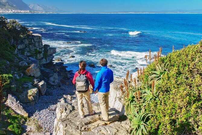 Hermanus Whale Watching Day Trip from Cape Town - FAQs
