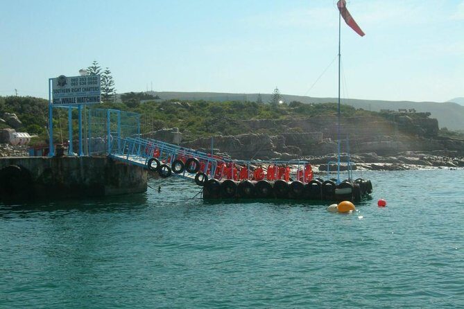 Hermanus Whale Watching & Penguins Shared Tour from Cape Town - Potential Drawbacks to Consider