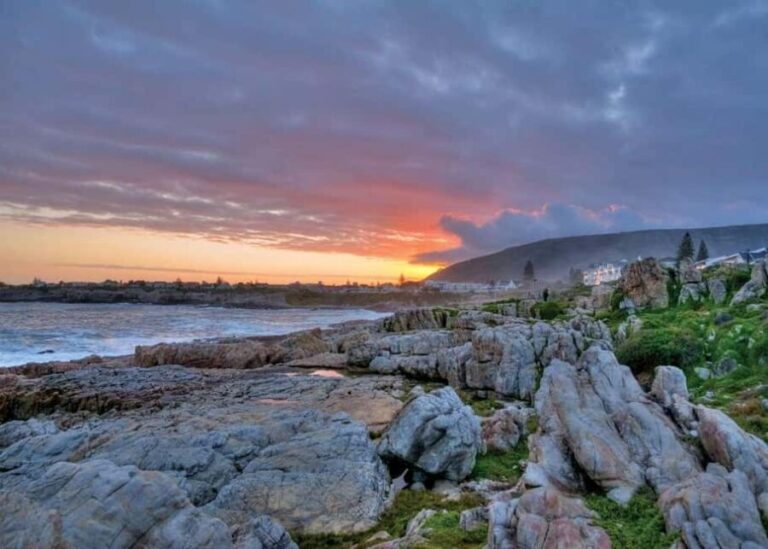 Hermanus: Whale Watching Tour with Scenic Coastal Views - FAQs