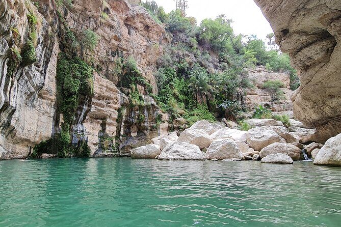 Hidden Gems of Oman: Sinkhole, Fins Beach & Wadi Tiwi Adventure - Who Will Love This Tour?