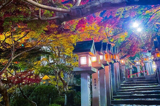 Hidden Gems of Osaka Kyoto Nara - Private Car Tour by Local Guide - Final Thoughts