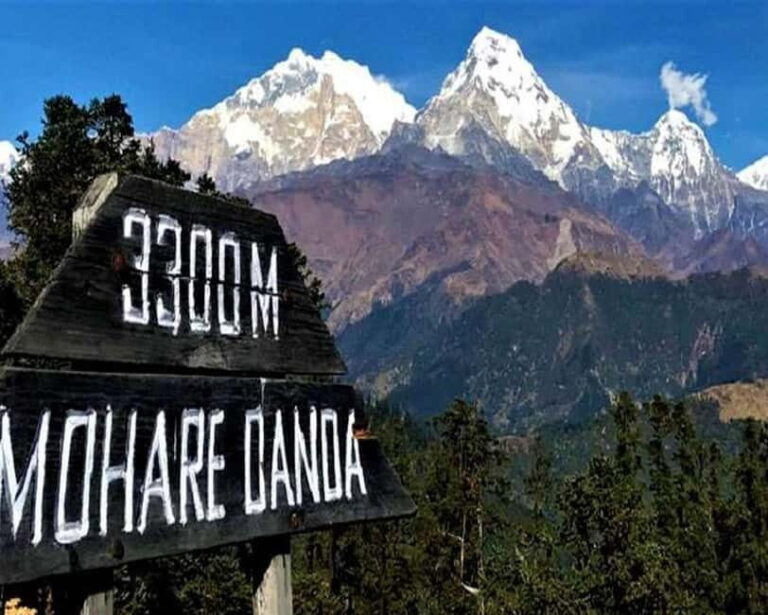 Hidden Himalayas: 8-Day Mohare Danda Trek via Nagi Village - A Detailed Look at the Itinerary