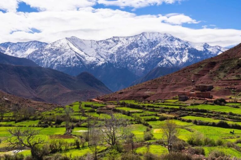 High Atlas Mountains and 5 Valleys Day Trip from Marrakech - The Experience: Pros and Cons