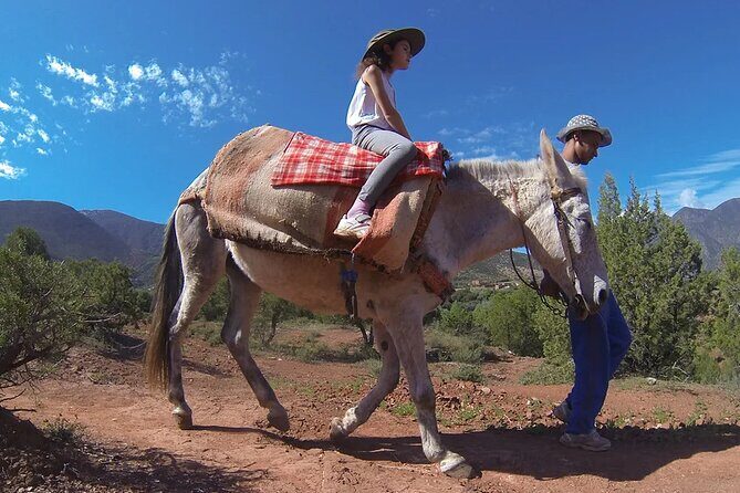 High Atlas Mountains, Day Trip From Marrakech - Who Will Love This Trip?