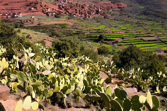 High Atlas Mountains Day Visit " Ourika Valley & Setti Fatma" - Who Would Enjoy This Tour?