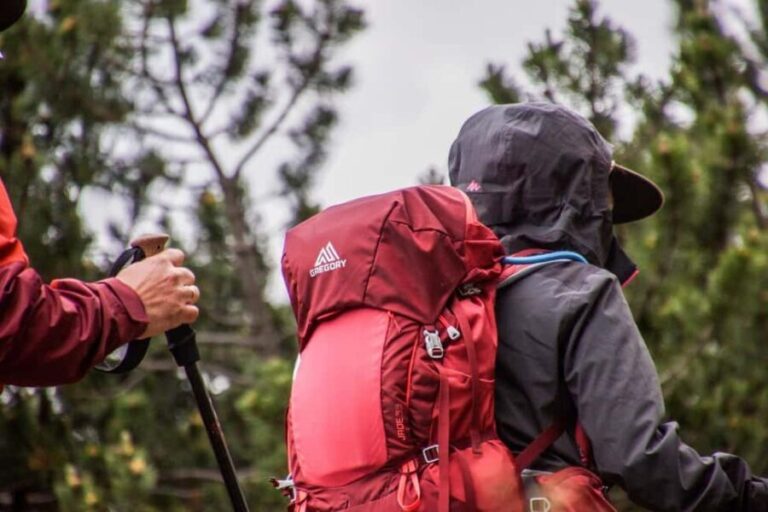 Hike in The Karura Forest - Why You’ll Love the Hike in Karura Forest
