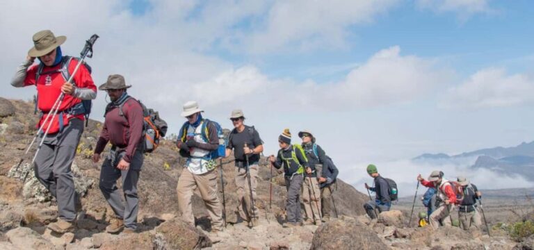 Hike to Shira Plateau on Mt. Kilimanjaro Guided FullDay Tour - Transport and Logistics