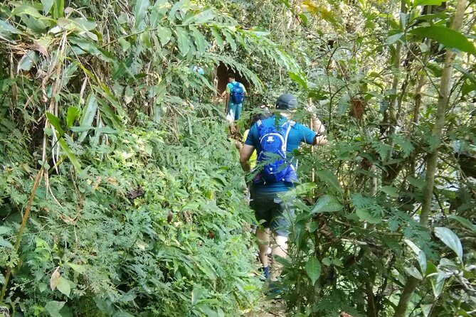 Hiking and Zipline Private Tour from Chiang with Karen Village - The Real Experiences From Travelers