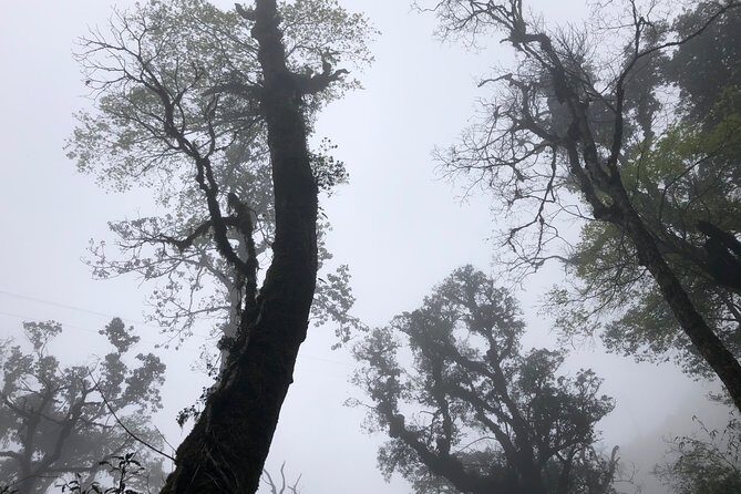 Hiking Fansipan in 1 day - Who Will Love This Tour?