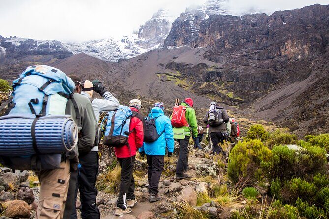 Hiking Mt Kilimanjaro 7 days scenic route & moderate challenge - Why this tour offers good value and what it means for you