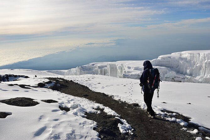 Hiking Mt Kilimanjaro 8 days, the most scenic route up Kili - Why This Tour Offers Great Value