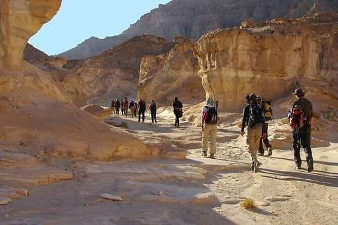 Hiking Sinai Mount desert camping & adventure trekking 7 days. - Desert Camping & Sinai Adventure