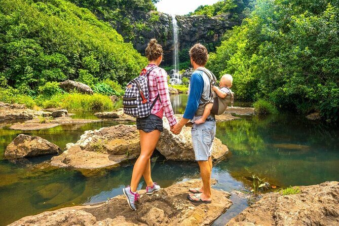 Hiking the Black River Gorges: Full-day with Lunch and Transfer - Who Will Enjoy This Tour Most?