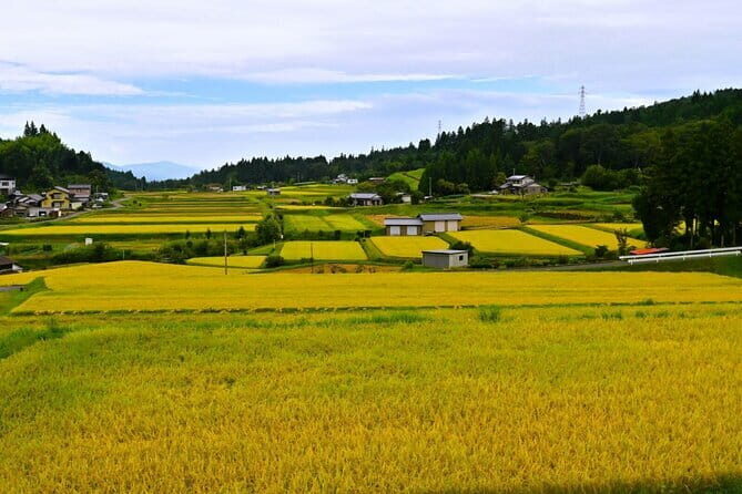 Hiking the Historic Nakasendo Trail- 1 Day Tour from Nagoya - The Itinerary in Detail