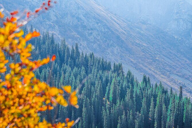 Hiking wonderland Ala Archa National Park - What Makes This Tour Stand Out?
