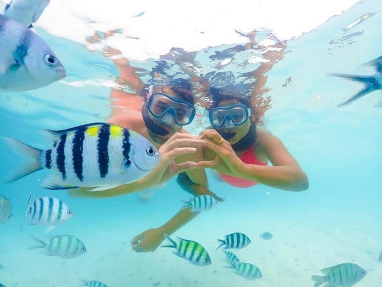 Hikkaduwa Snorkeling Tour: 2 Hours of Underwater Adventure - What Travelers Say