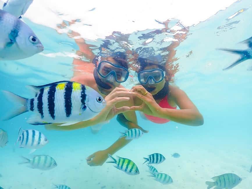 Hikkaduwa Snorkeling Tour: 2 Hours of Underwater Adventure - What Travelers Say