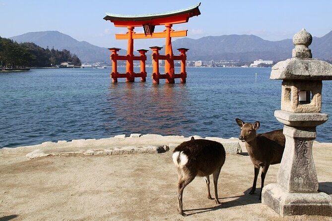 Hiroshima and Miyajima 1 Day Tour from Kyoto or Osaka - The Value Proposition