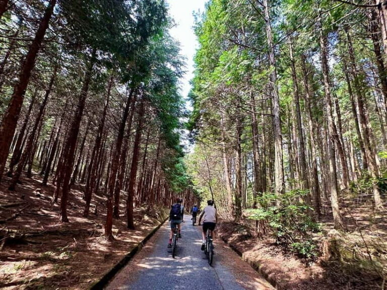 Hiroshima Country Cycling: Explore Rural Life 1 HR from City - Itinerary Breakdown and What to Expect